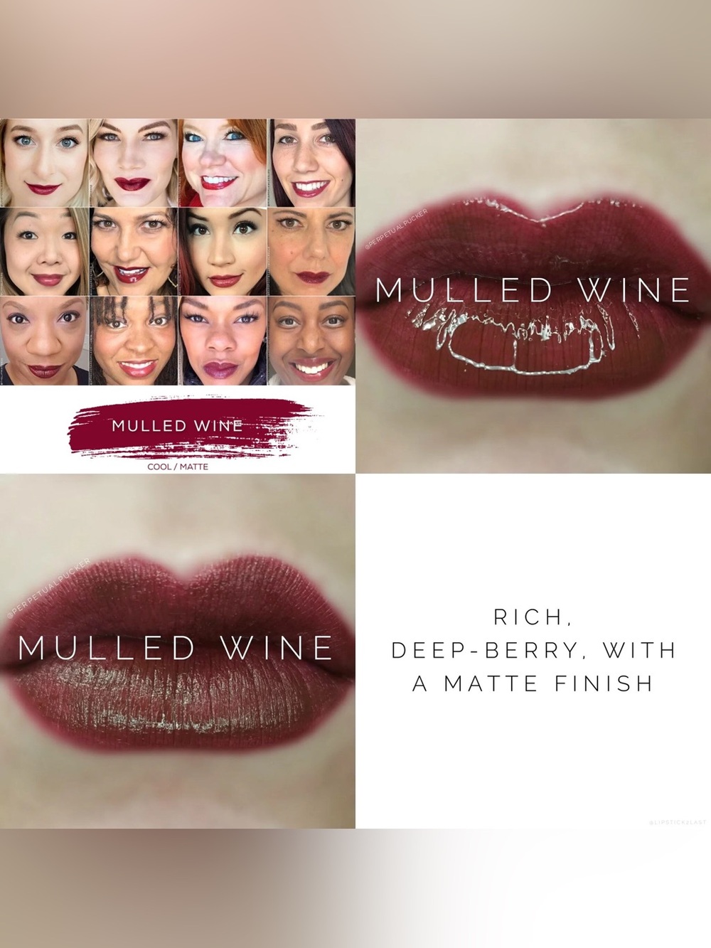 NWT Mulled Wine LipSense